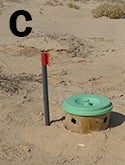bucket-trap-partially-buried-low-res.jpg