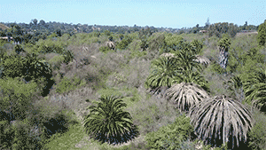 drone-flight-overview-at-sweetwater2.gif