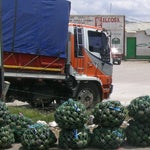 roadside-avocados.jpg