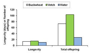 a_pseudococci_longevity_small.jpg