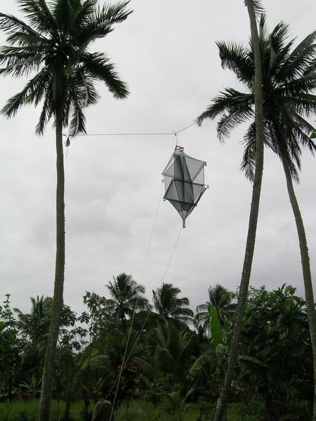 aerial_malaise_trap_in_fiji.jpg