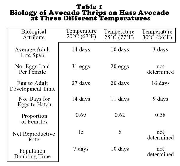 biology_avocado_thrips_hass_avocado_three_temperatures_large.jpg