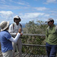 cerro_colorado_san_cristobal_small.jpg