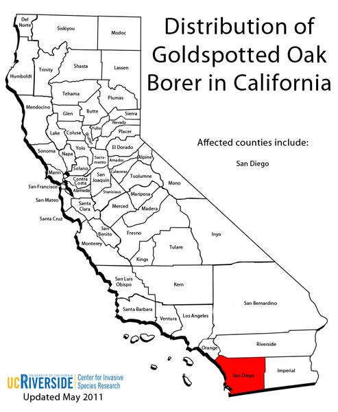 distribution_goldspotted_oak_borer_california_large.jpg 