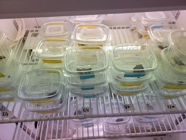 Research in Quarantine