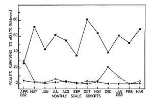 icerya_control_australia_small.jpg