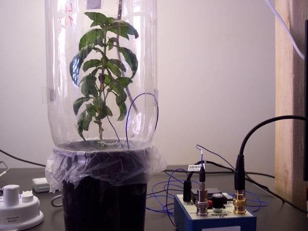 laboratory_vibrational_recording_setup_2.jpg