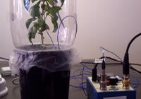 laboratory_vibrational_recording_setup_2_small.jpg