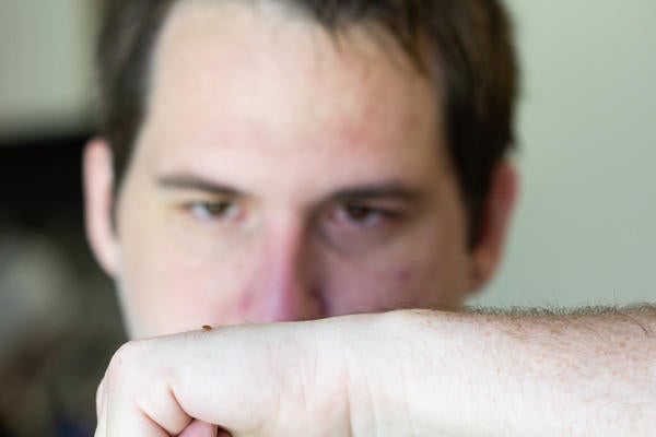 mark_dery_bed_bugs_03_large.jpg