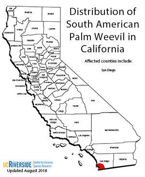 palmarum_distribution_small.jpg