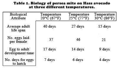 table-1-persea-mite-small.jpg