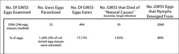 table_1_gwss_eggs_large.jpg
