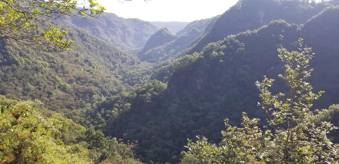 La Barranca Wilderness in Mexico