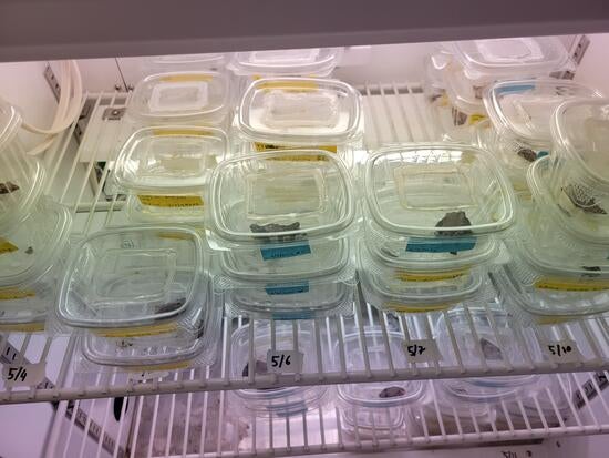 Research in Quarantine